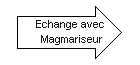F Echange avec Magmariseur.png