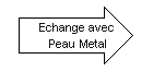 F Echange avec Peau Metal.png