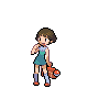 Pokemon Eternia