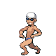 Pokemon Eternia