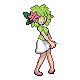 Pokemon Eternia