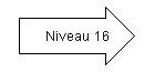 Niveau 16.png