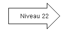 Niveau 22.png