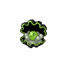Coquiperl obscur.png