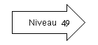 Niveau 49.png