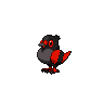 Poichigeon Obscur.png