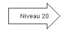 Niveau 20.png