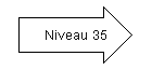 Niveau 35.png