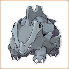 111 Rhinocorne.jpg