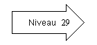 Niveau 29.png