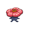 Dos Rafflesia.png