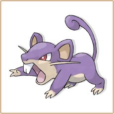 Rattata.jpg
