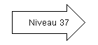 Niveau 37.png