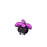 Croquine obscur.png