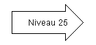 Niveau 25.png