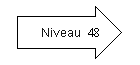 Niveau 48.png