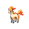 Ponyta.png