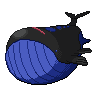 Waillord obscur.png