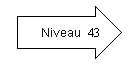 Niveau 43.png