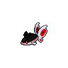 Ecayon obscur.png