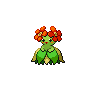 Joliflor.png