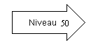 Niveau 50.png