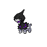 Solochi obscur.png