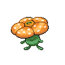 Rafflesia Shiney.png