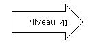 Niveau 41.png