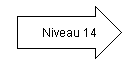 Niveau 14.png