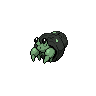 Crabicoque obscur.png
