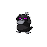 Psykokwak obscur.png