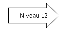 Niveau 12.png