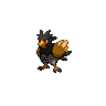 Piafabec obscur.png