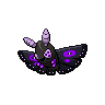 Papinox obscur.png