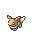 Evoli.gif