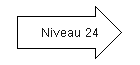 Niveau 24.png