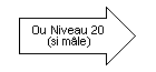 Ou Niveau 20 (Si mâle).png