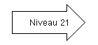 Niveau 21.png