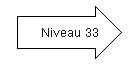 Niveau 33.png