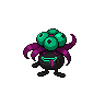 Ortide obscur f.png