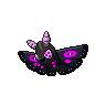 Papinox obscur f.png