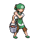Sprite-Maître-baies.png