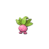 043 rose.png