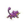 Dos Rattata.png