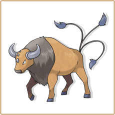 128 Tauros.jpg