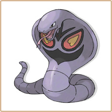 24 Arbok.jpg