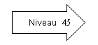 Niveau 45.png