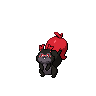 Rongourmand obscur.png