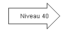 Niveau 40.png